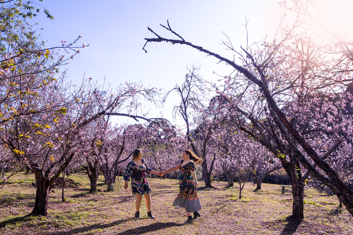 Ensaio Pre Wedding no Parque do Carmo realizado na Festa das Cerejeiras da Tamara e da Lorena