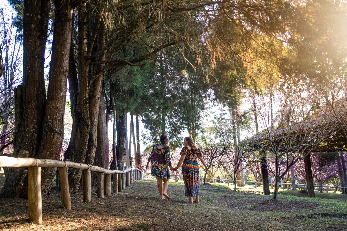 Ensaio Pre Wedding no Parque do Carmo realizado na Festa das Cerejeiras da Tamara e da Lorena