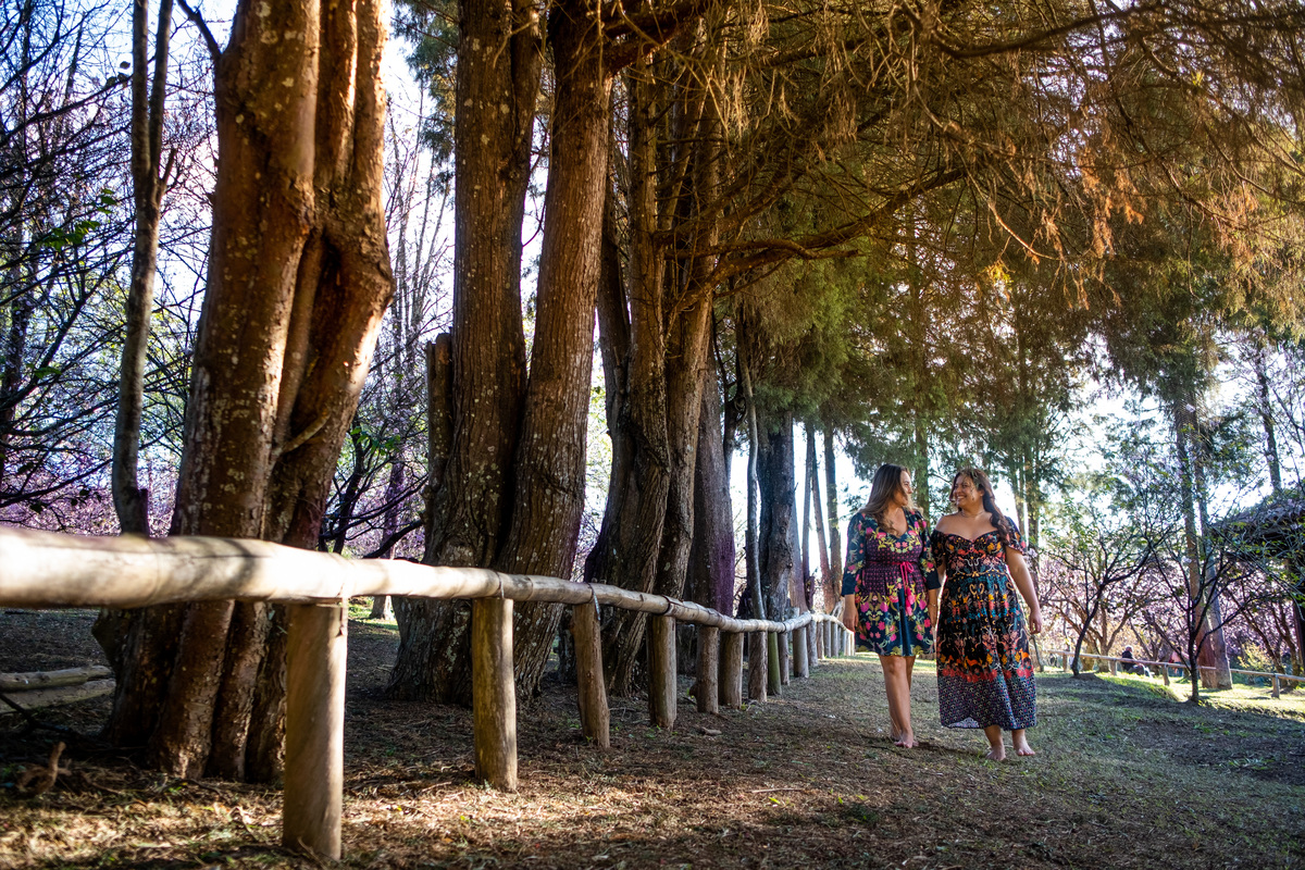 Ensaio Pre Wedding no Parque do Carmo realizado na Festa das Cerejeiras da Tamara e da Lorena