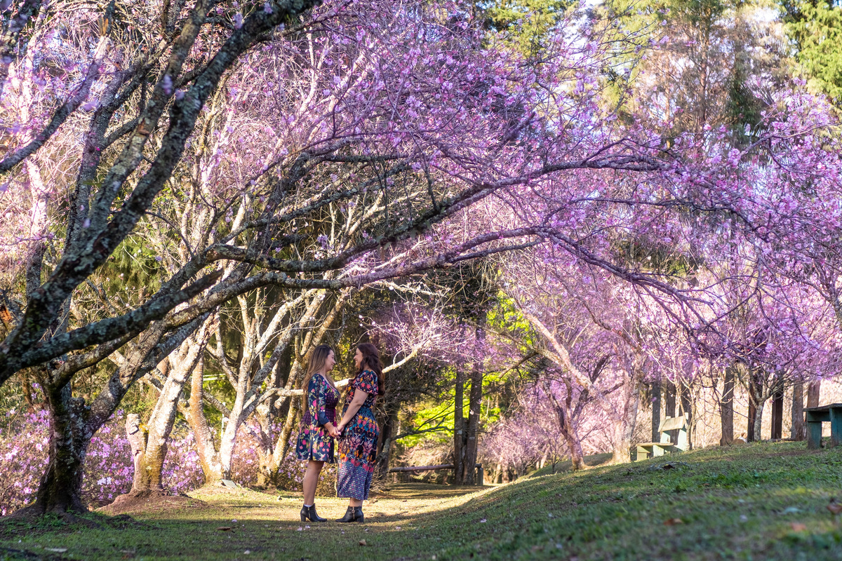 Ensaio Pre Wedding no Parque do Carmo realizado na Festa das Cerejeiras da Tamara e da Lorena