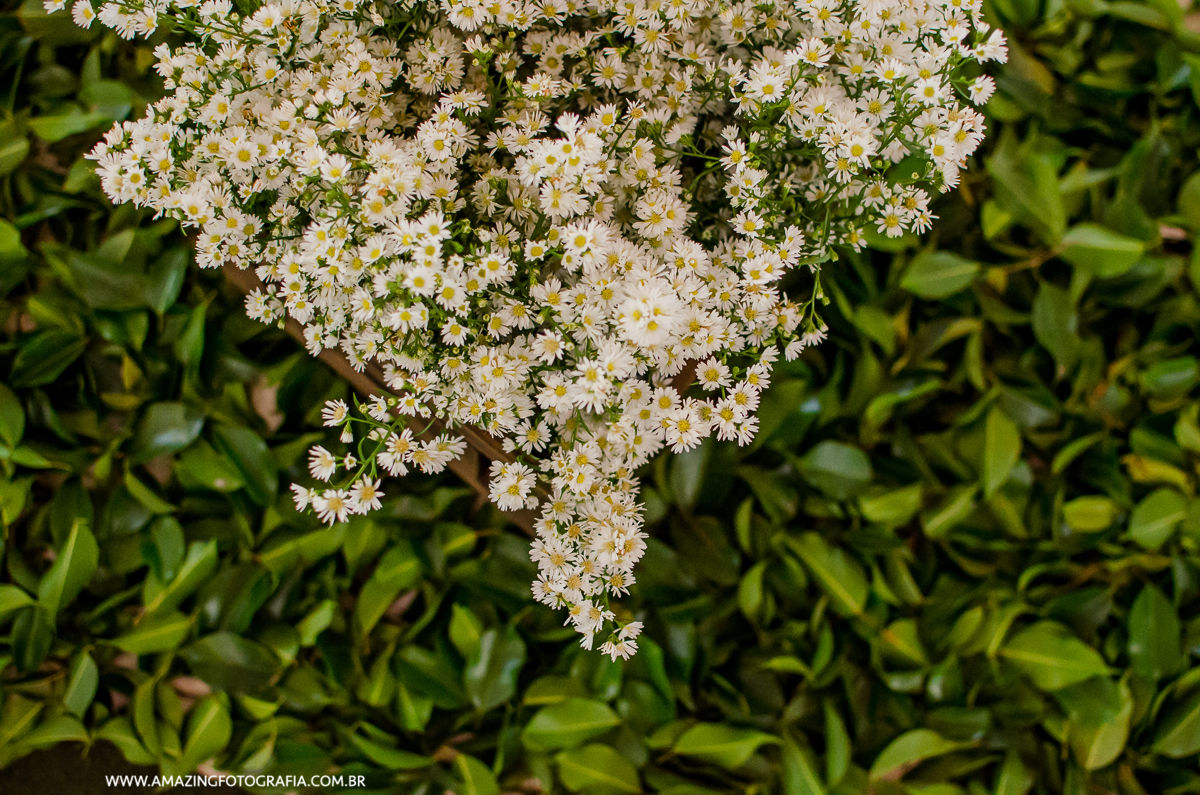 Fotografo de São Paulo capricha nos detalhes do registro da Fotografia de Casamento