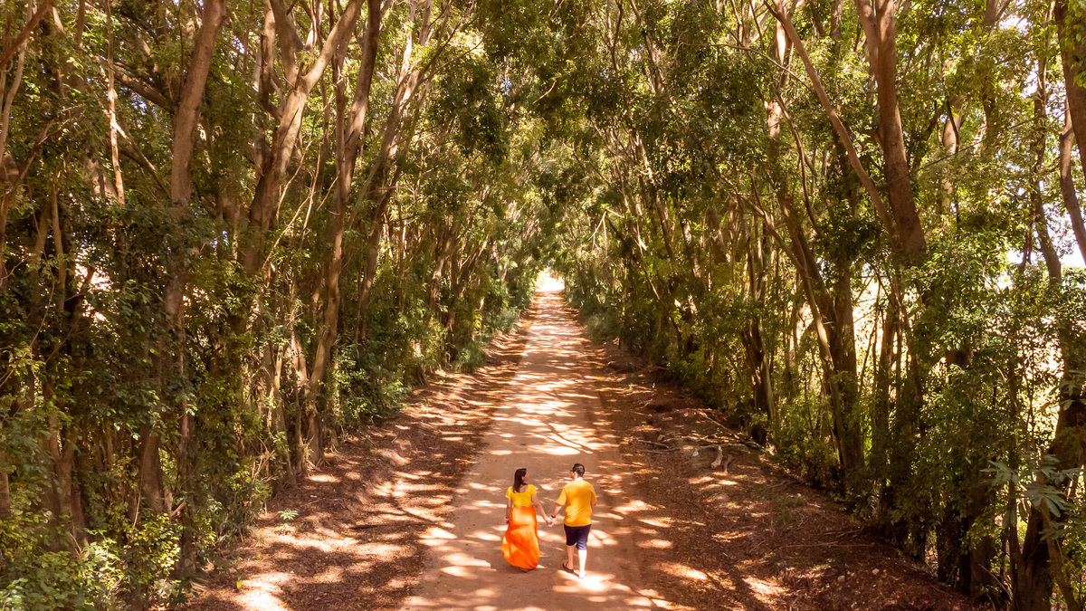 Ensaio Pre Wedding em Holambra da Milena e do Renato