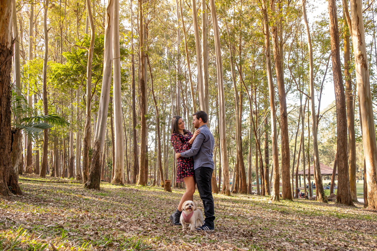  ensaio pre Wedding da Camila e do Noel feito no Parque do Carmo