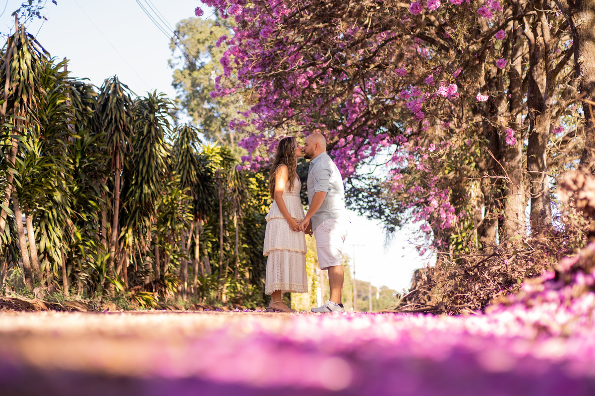 Ensaio pre Wedding em Holambra na Fazenda Macena da Leticia e do Henrique