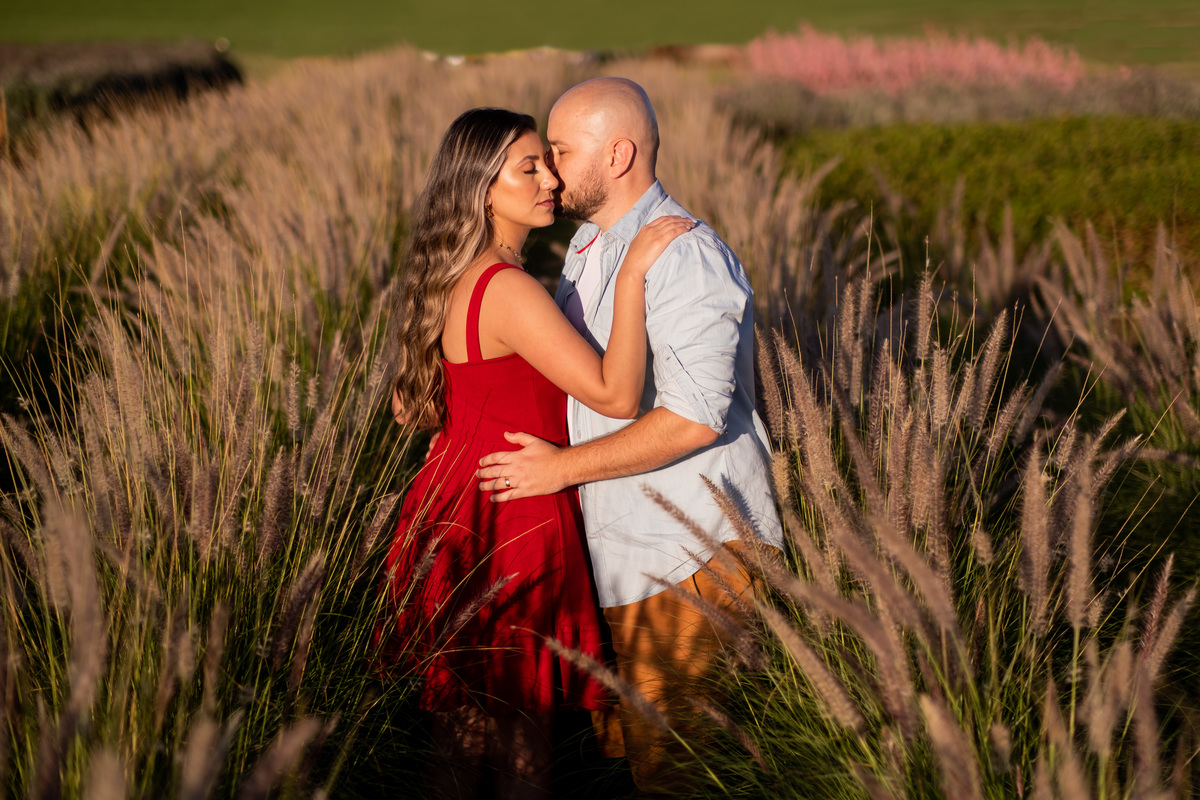 Ensaio pre Wedding em Holambra na Fazenda Macena da Leticia e do Henrique