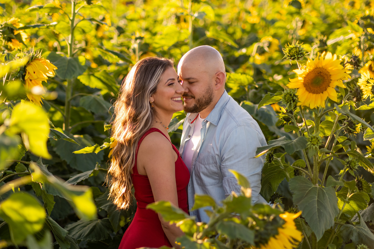 Ensaio pre Wedding em Holambra na Fazenda Macena da Leticia e do Henrique