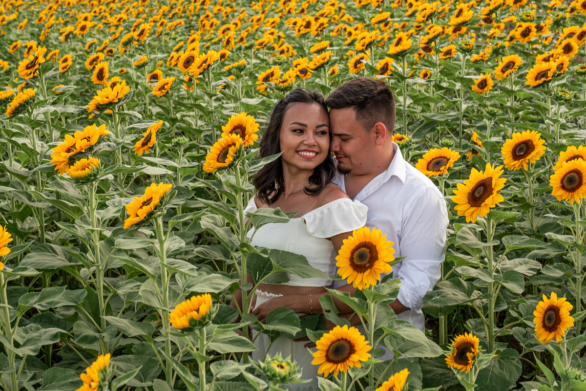 Ensaio Pre Wedding realizado em Holambra da Andressa e do Murilo