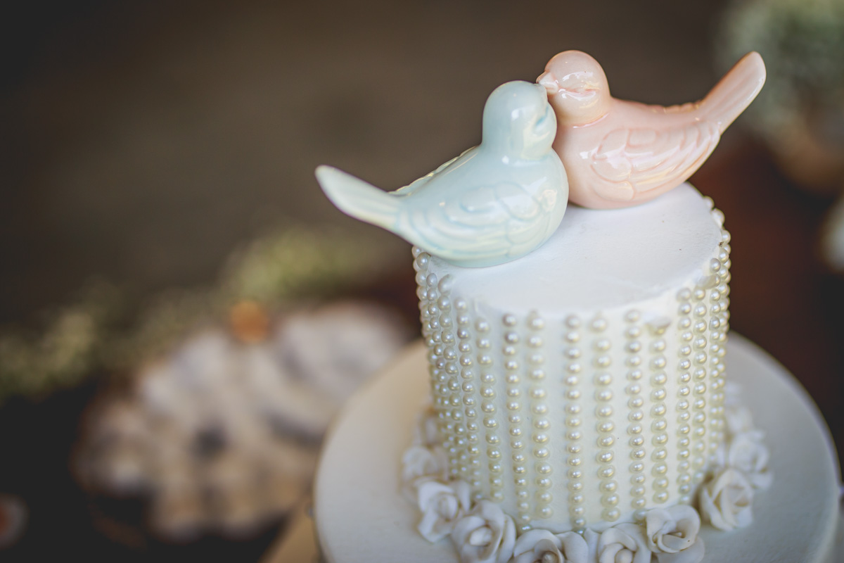 Topo de bolo Casamento Tamires e Felipes Espaço Natureza