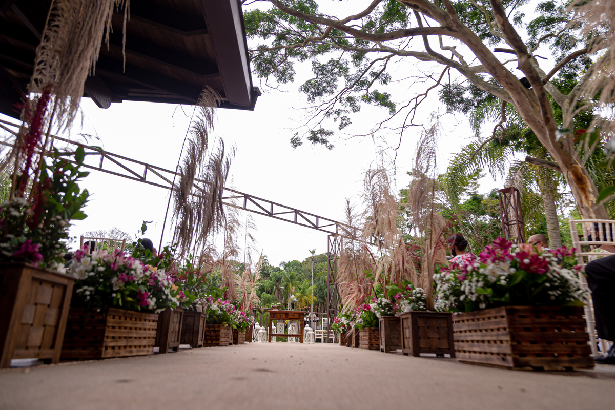Sollar da Arvore em mogi das cruzes registrados pelos fotografos Amazing Fotografia 