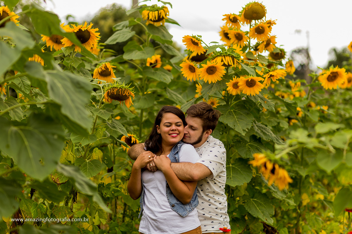 Fotografo de Casamento