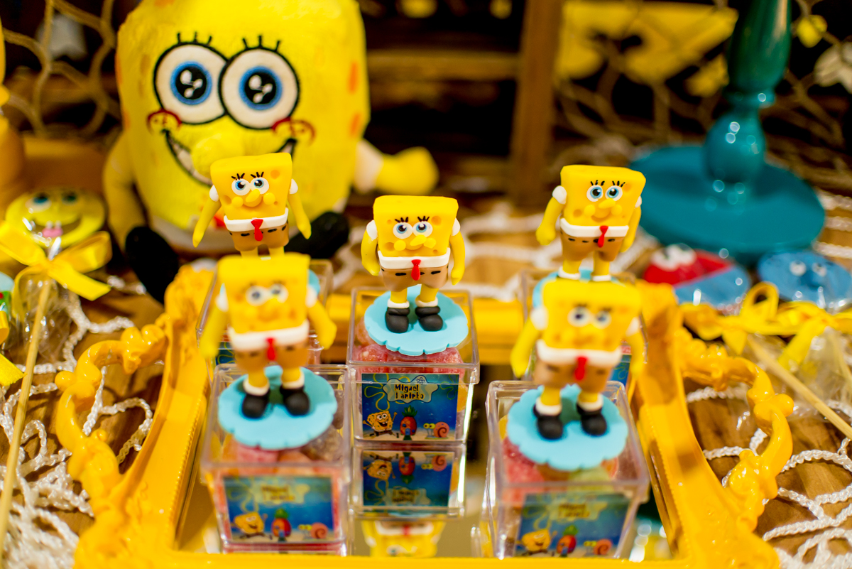 meu primeiro aniversário