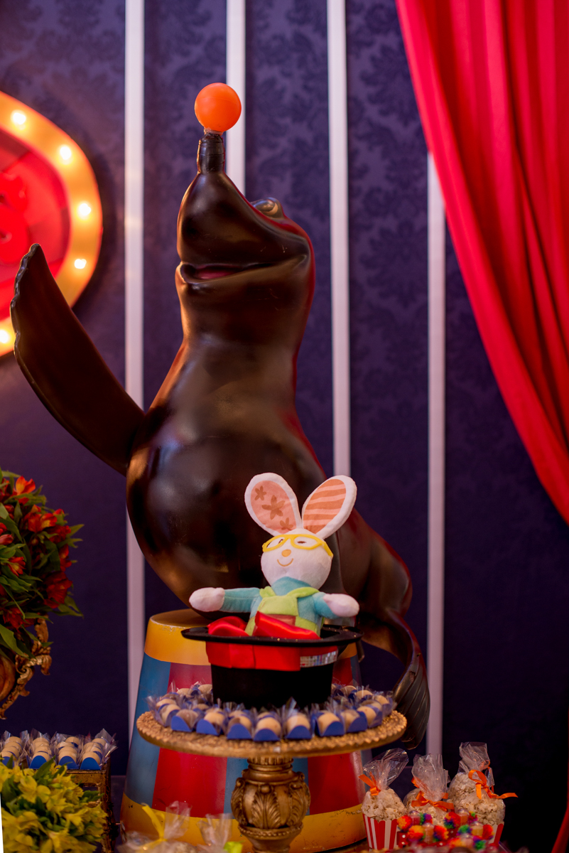 foca no circo de festa infantil
