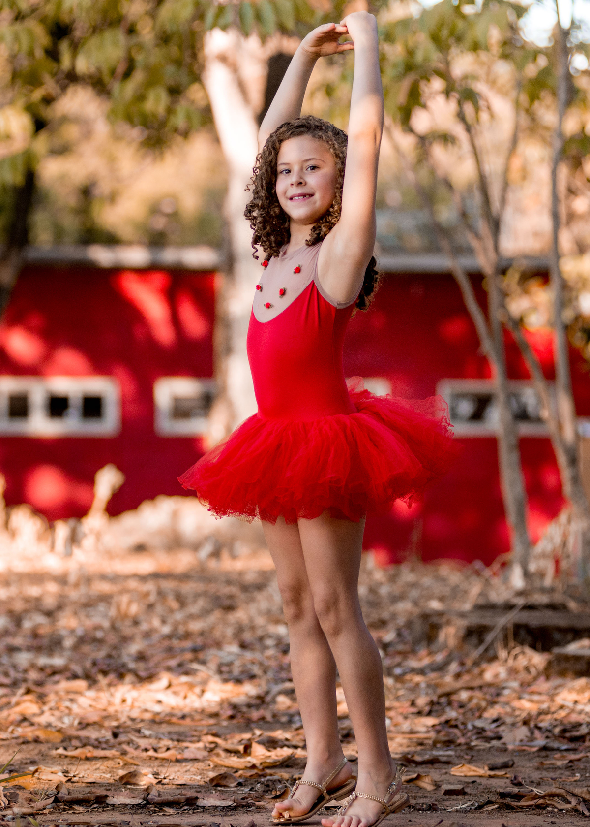 ensaio externo brasilia df