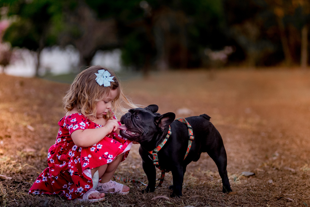 ensaio de menina e pet