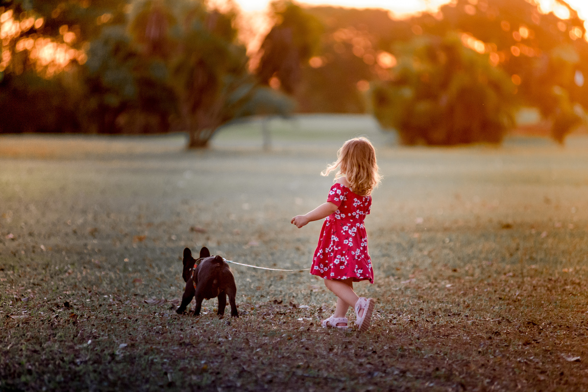  Eu e meu pet por do sol