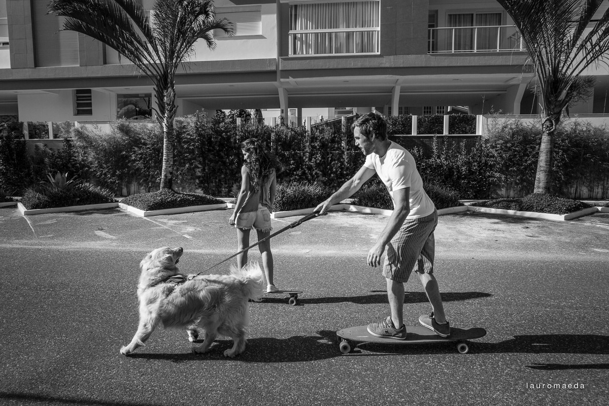 Cachorro puxando skatista