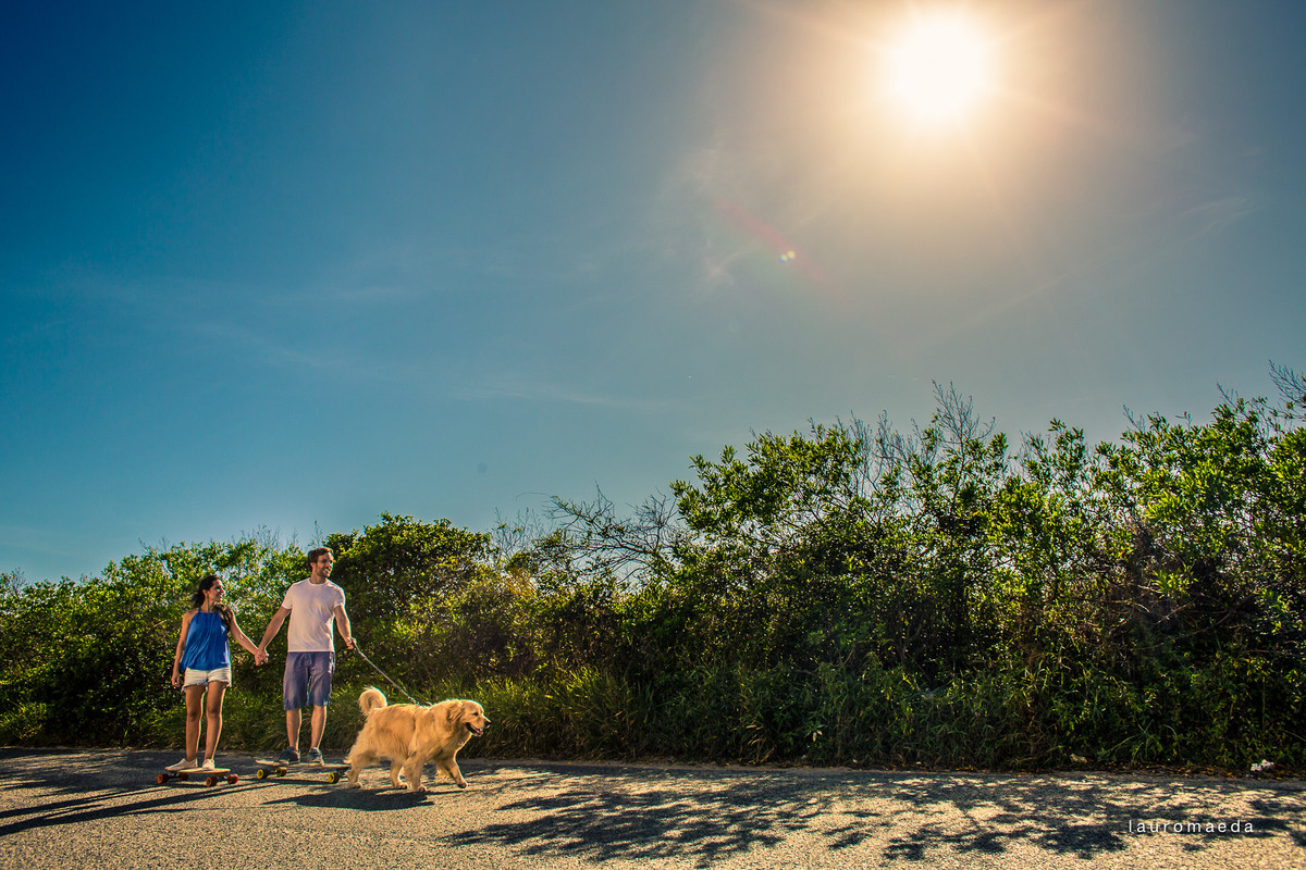 cachorro puxando skate