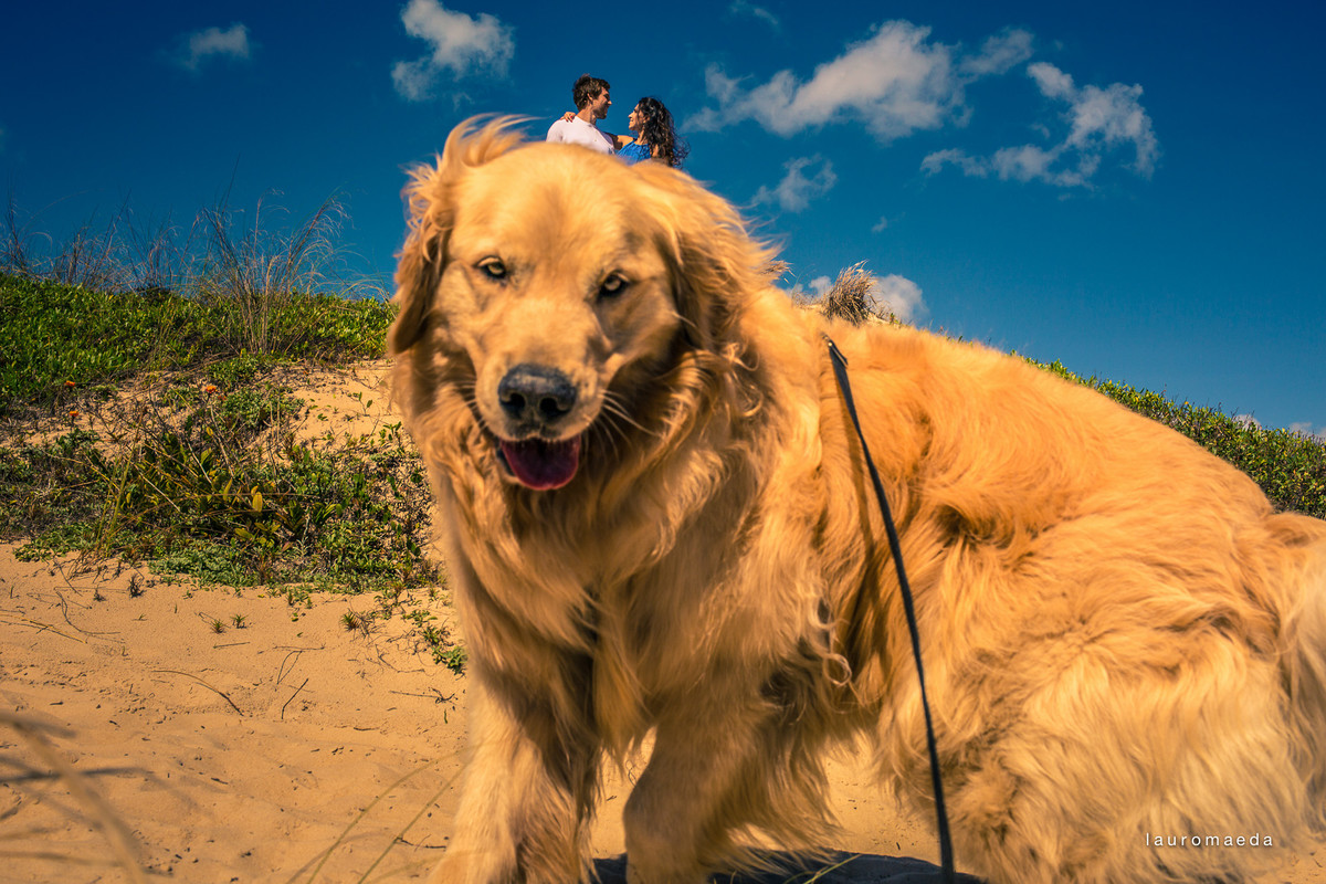 cachorro e casal ao fundo