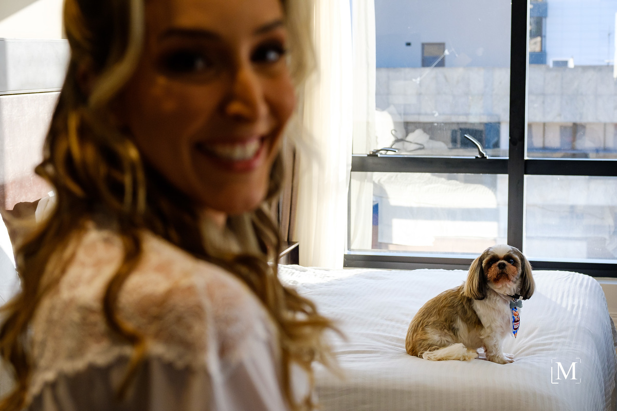 cão olhando para a sua dona