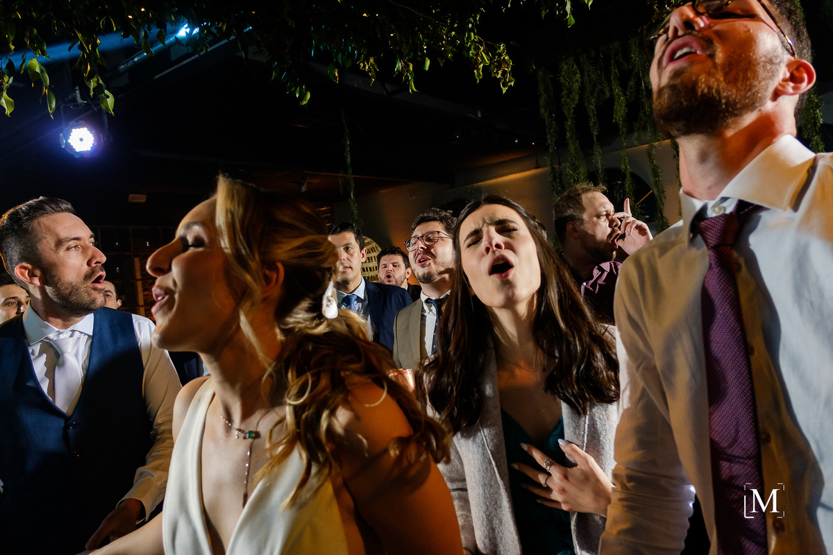 alegria na vila dos araçás