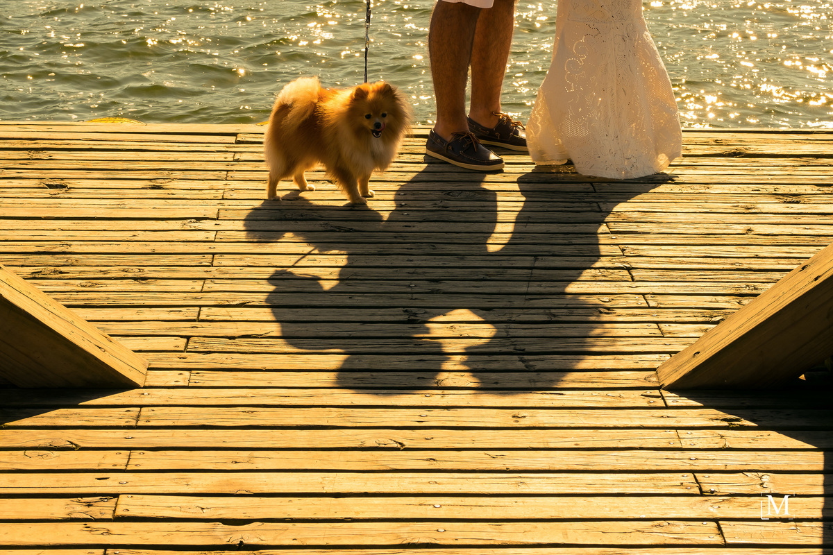 cãozinho Guga perto do casal no Rio Vermelho