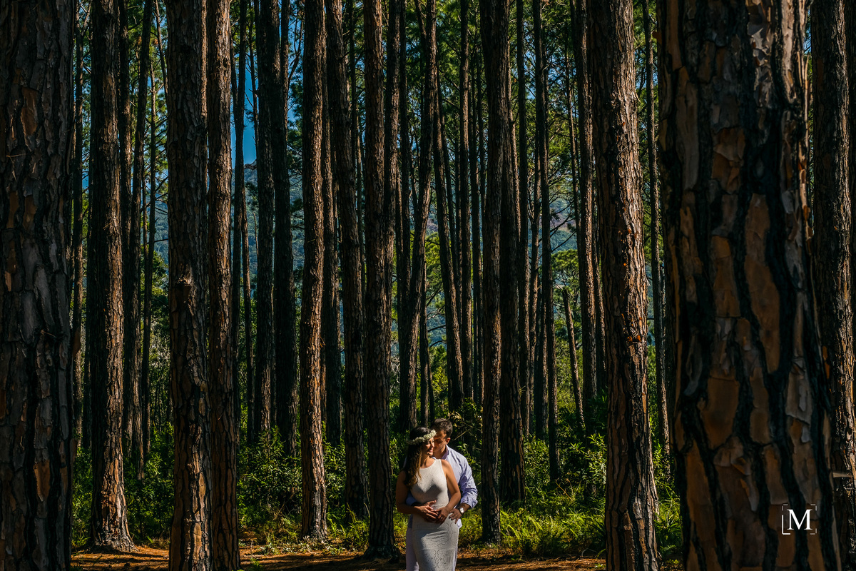 noivos em meio as arvores