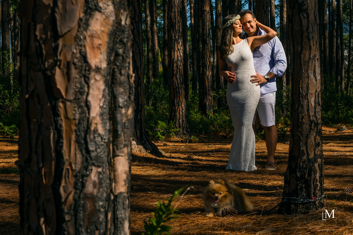 casal e o cãozinho Guga nas arvores do Rio Vermelho