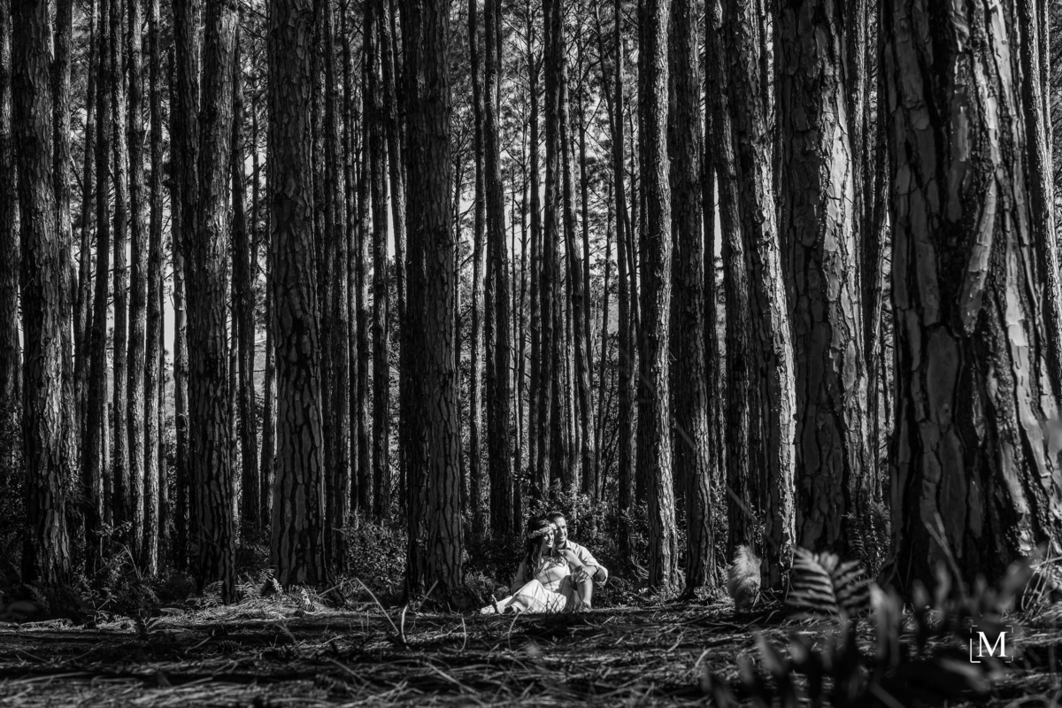 Casal sentado em meio as arvores do Rio Vermelho