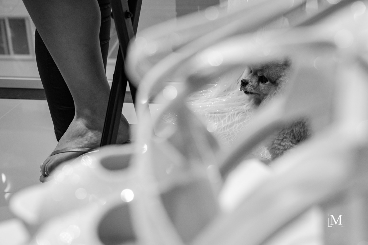 Pet no making of da noiva