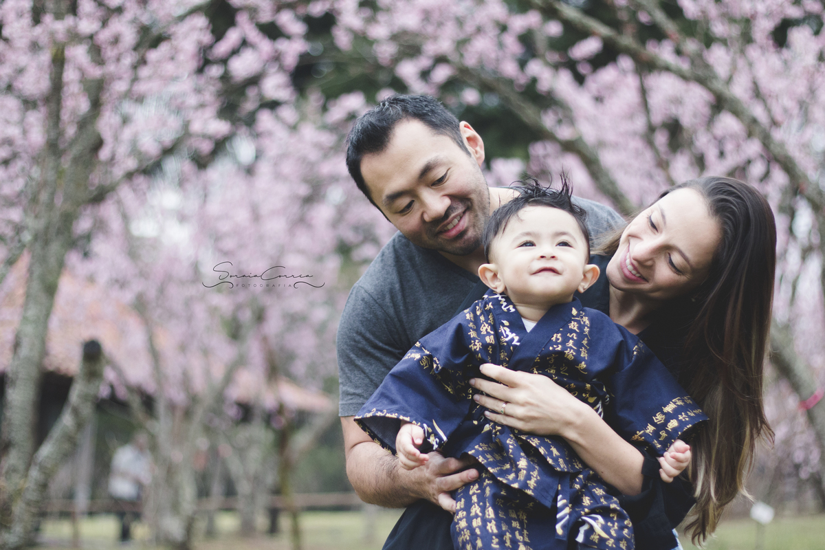 ensaio fotografico nas cerejeiras