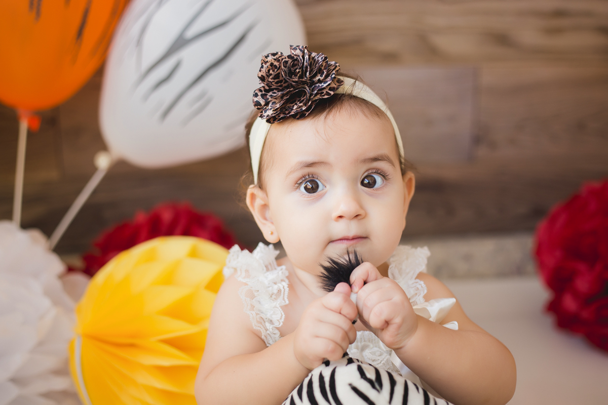 deborah-demetrio-smash-the-cake-safari-niteroi-rj-helena-olivia-03