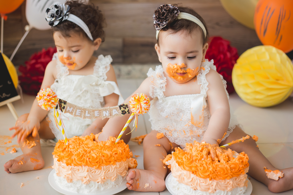 deborah-demetrio-smash-the-cake-safari-niteroi-rj-helena-olivia-05