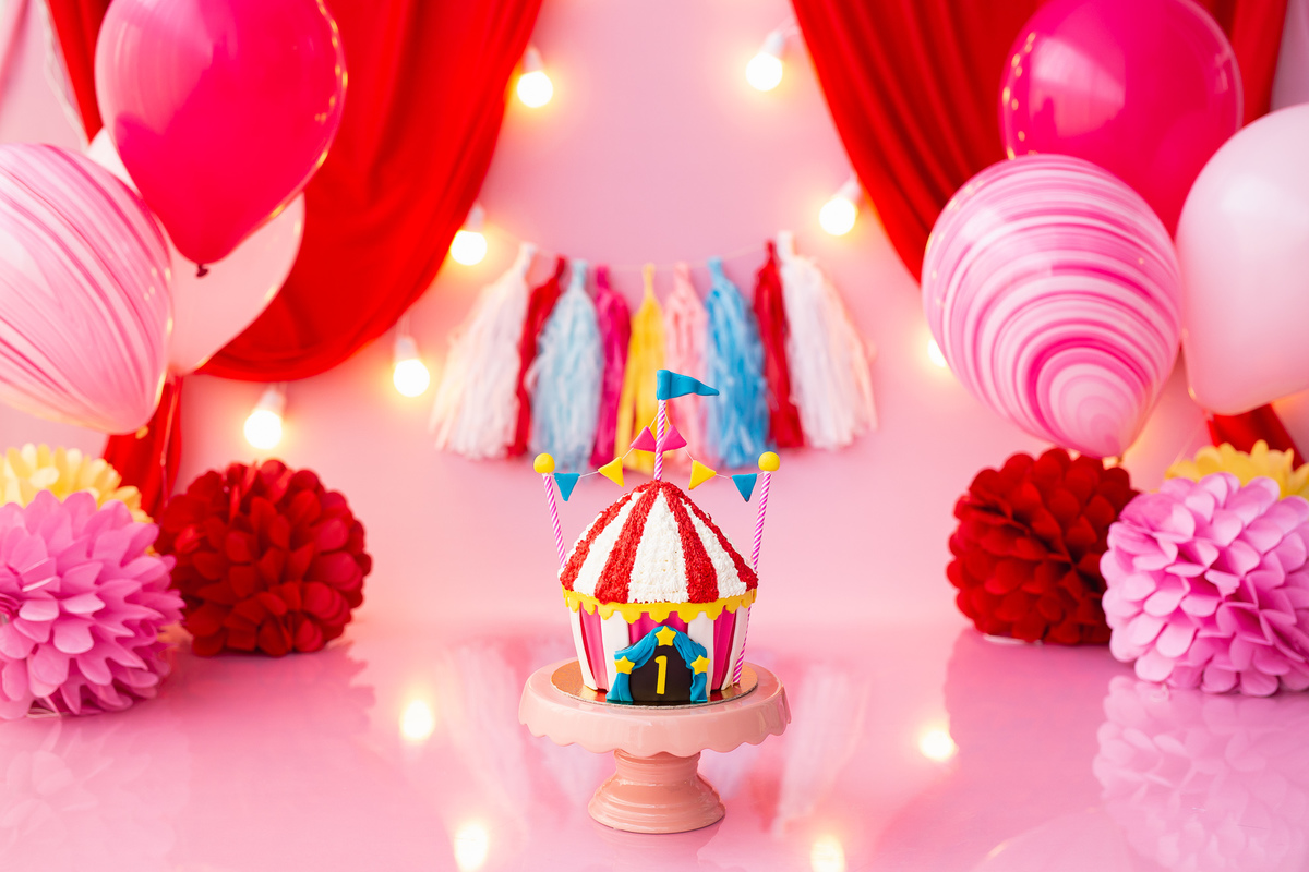 deborah-demetrio-smash-the-cake-circo-rosa-niteroi-bianca-06