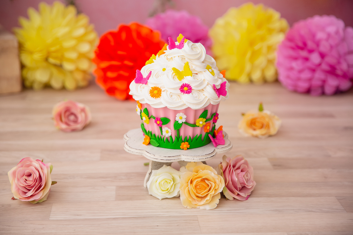 deborah-demetrio-smash-the-cake-jardim-niteroi-clara-04