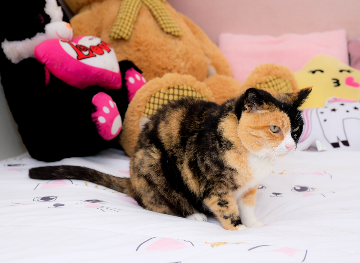 azmfotografia comunhao rita torreira