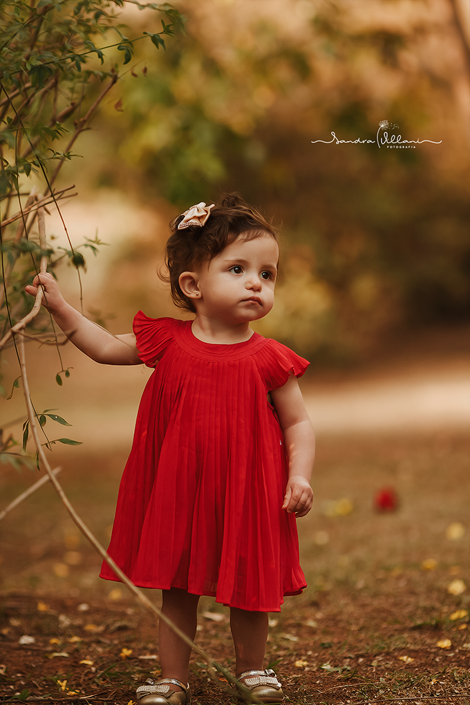 ensaio infantil + familia + smash the cake no ABC - SP