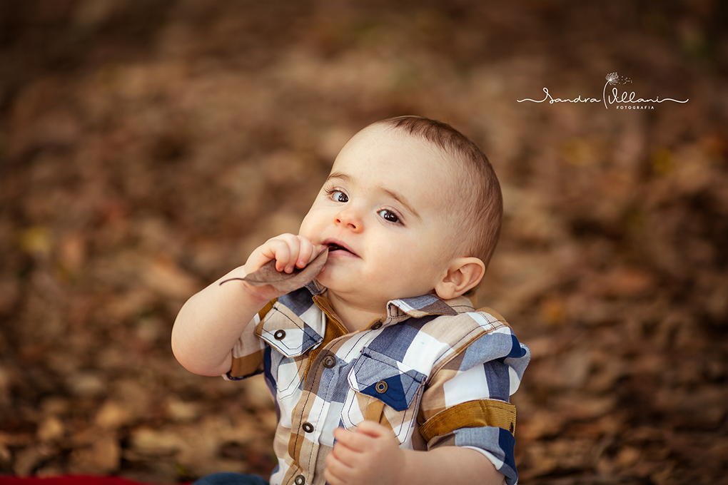 Vinícius tava querendo comer a folha, que charme 