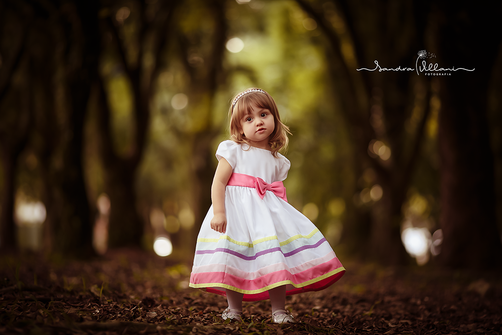 ensaio infantil externo abc - sp