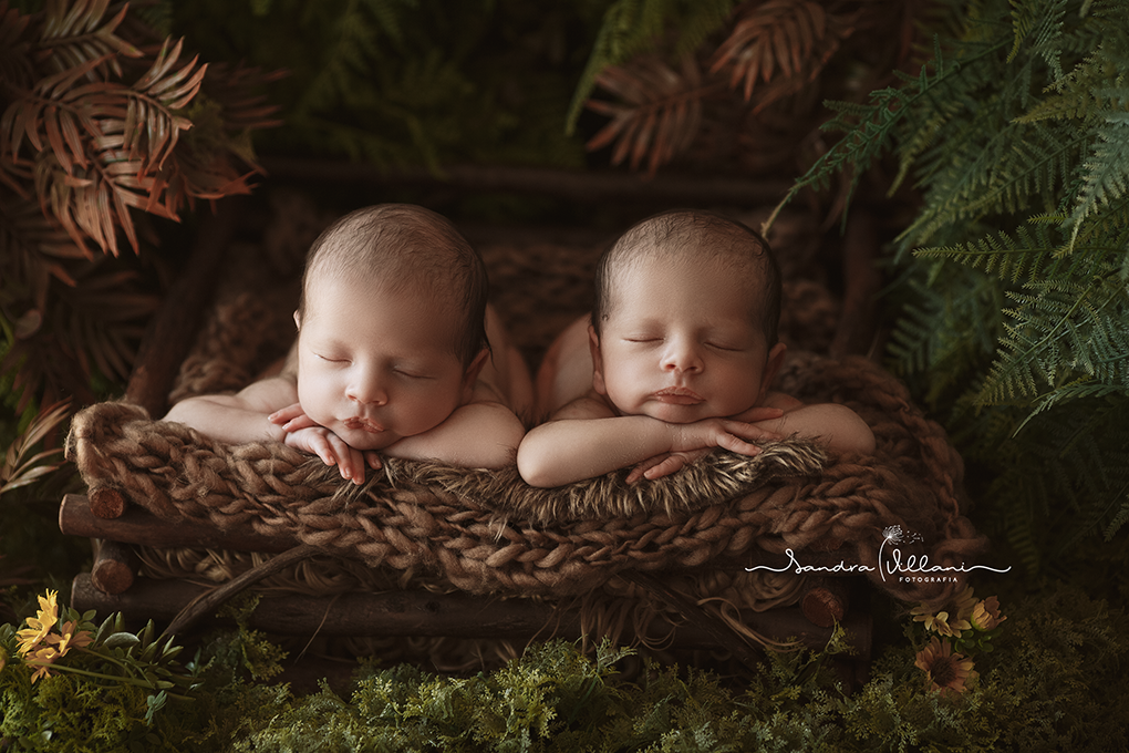 ensaio newborn gêmeos realizado no ABC SP, bebês estão no jardim 