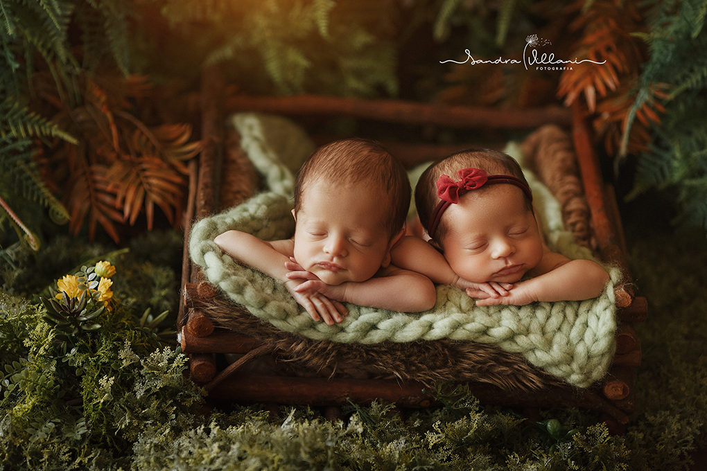 Ensaio Newborn do casal de gêmeos, estão no jardim