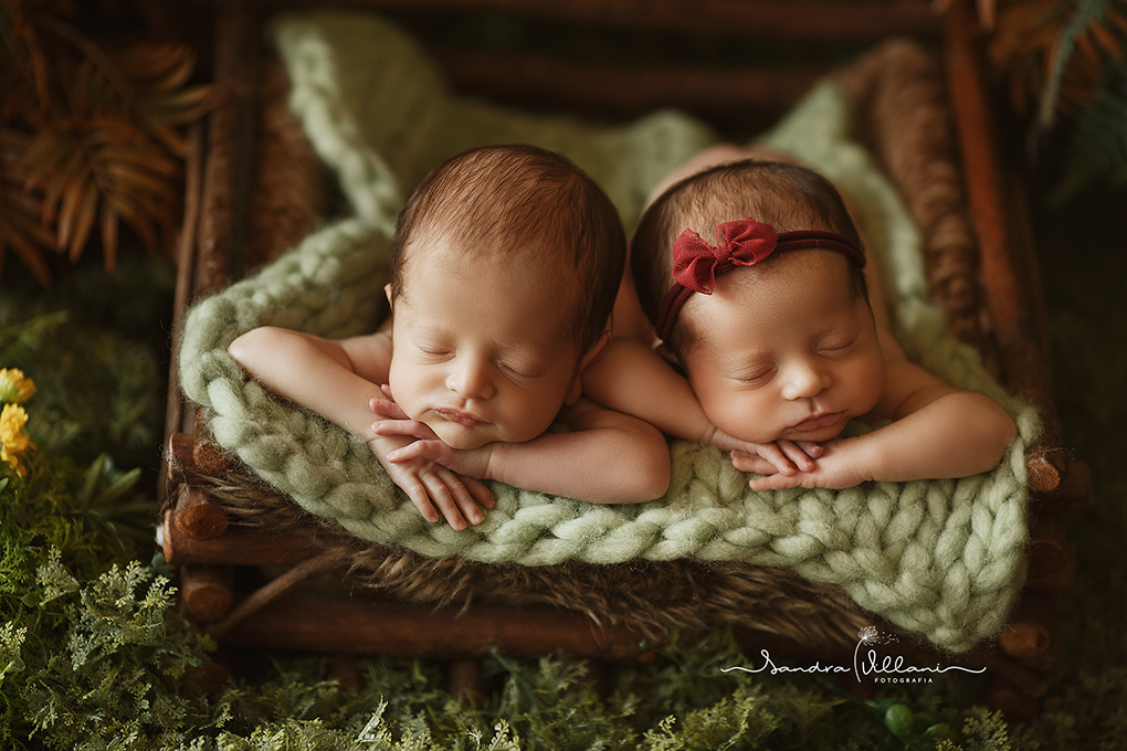 Ensaio Newborn do casal de gêmeos, estão no jardim