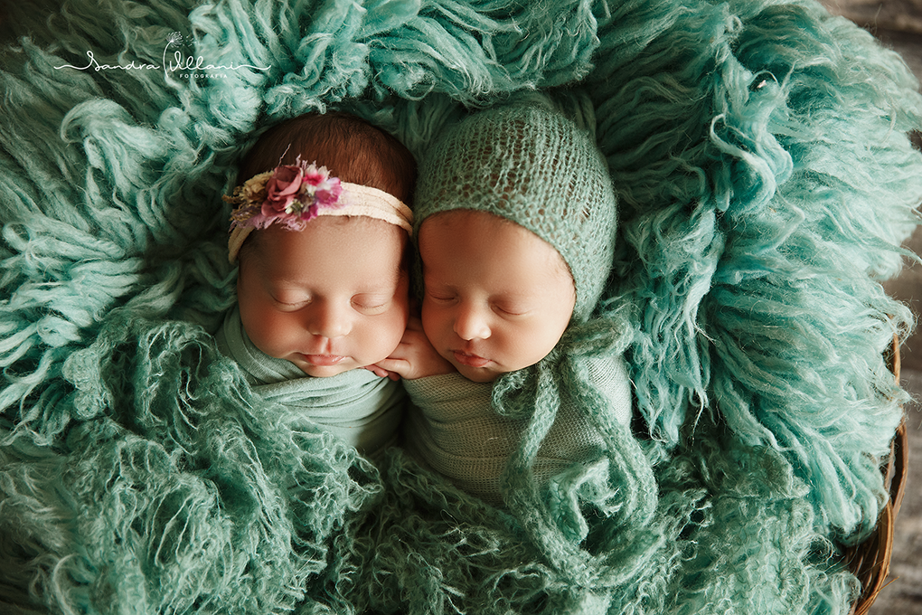Ensaio Newborn do casal de gêmeos, estão no cestinho juntinhos