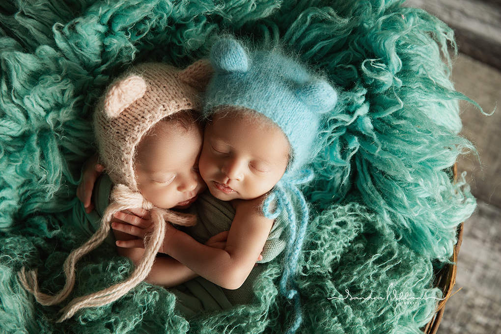 Ensaio Newborn do casal de gêmeos, estão no cestinho abraçadinhos