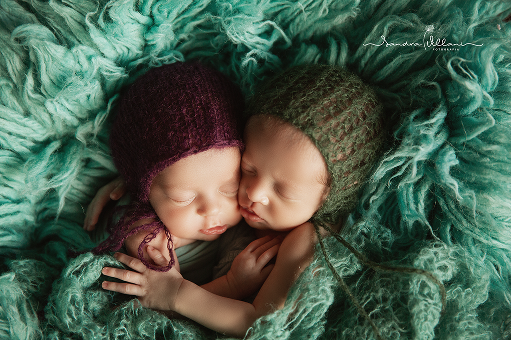 Ensaio Newborn do casal de gêmeos, estão no cestinho agarradinhos