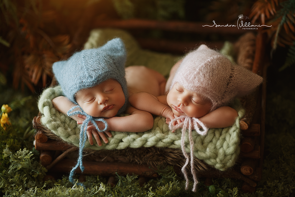 Ensaio Newborn do casal de gêmeos, estão no cestinho no jardim com touquinha de gatinho