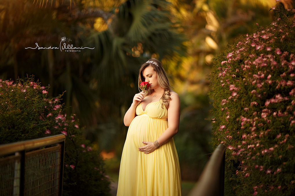 ensaio book gestante realizado em São Caetano do Sul SP, gravida está usando um vestido da Bela cheirando uma rosa vermelha
