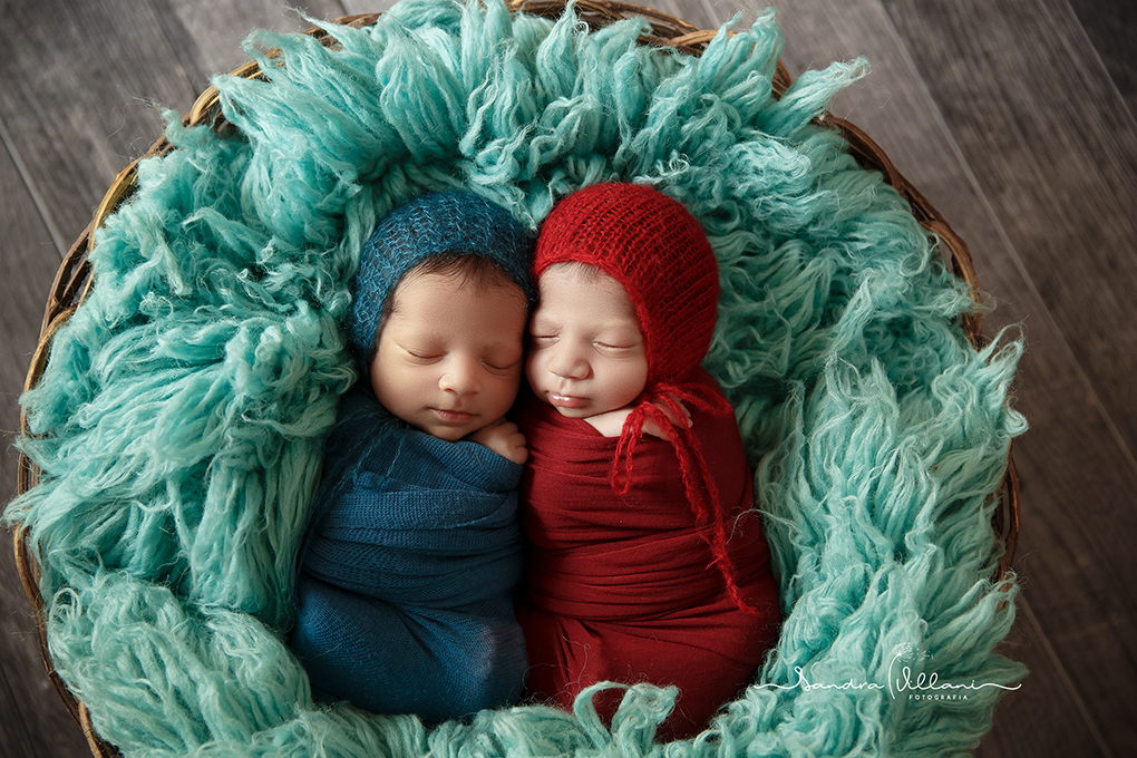 ensaio newborn de um casal de gemeos no cestinho