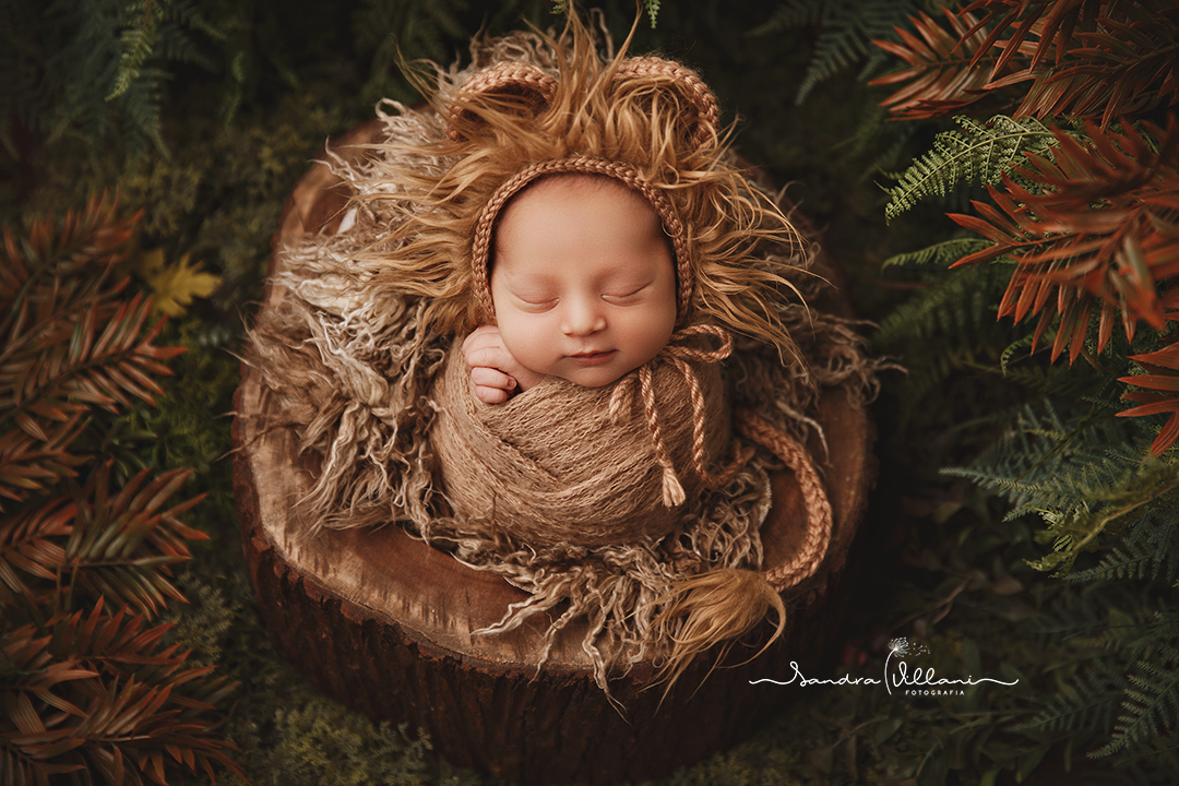 Ensaio newborn realizado em São Caetano do Sul - ABC - SP no jardim