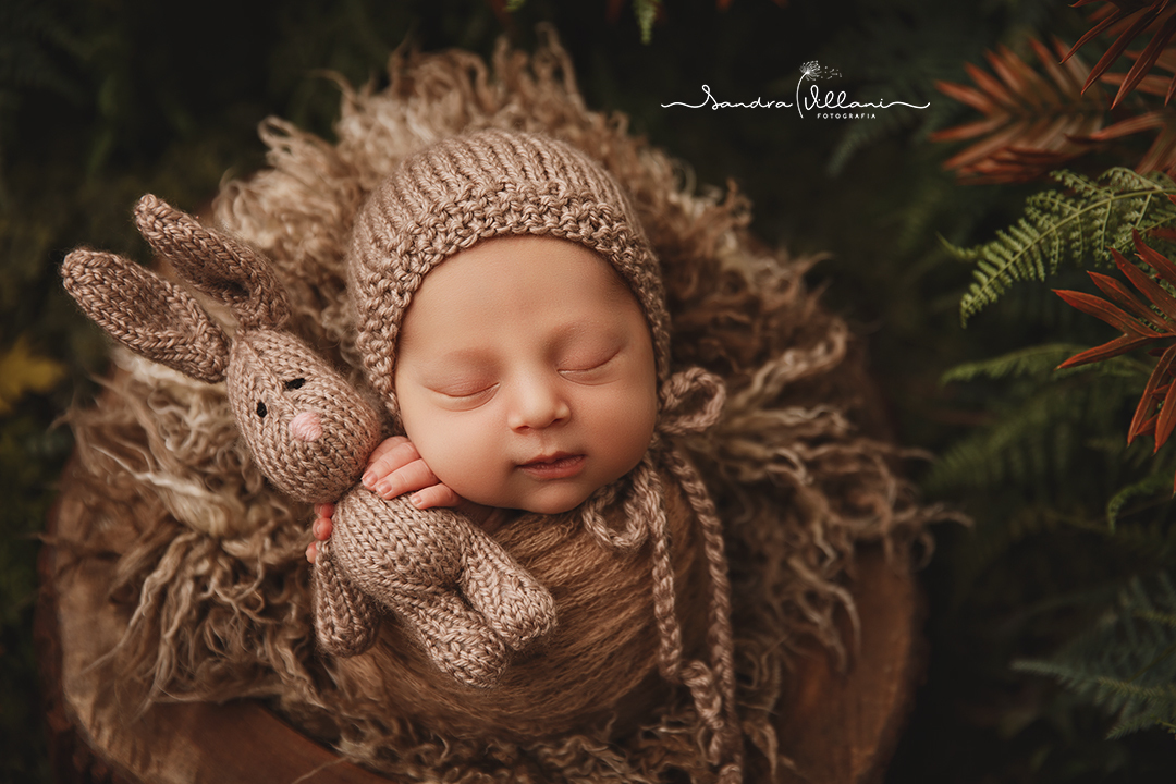 Ensaio newborn realizado em São Caetano do Sul - ABC - SP com coelhinho