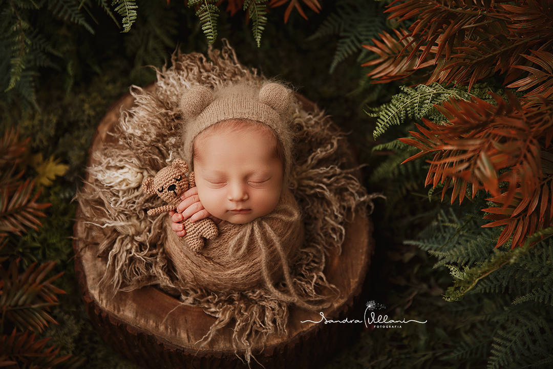 Ensaio newborn realizado em São Caetano do Sul - ABC - SP com ursinho